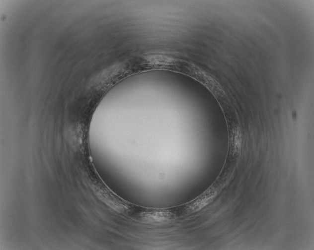 X0000085040567200703121436