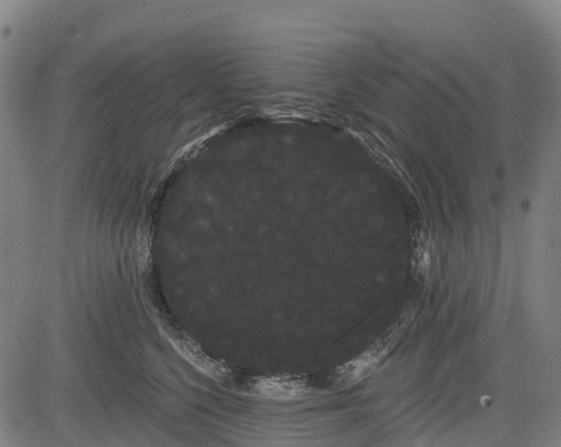 X0000085040568200703121436