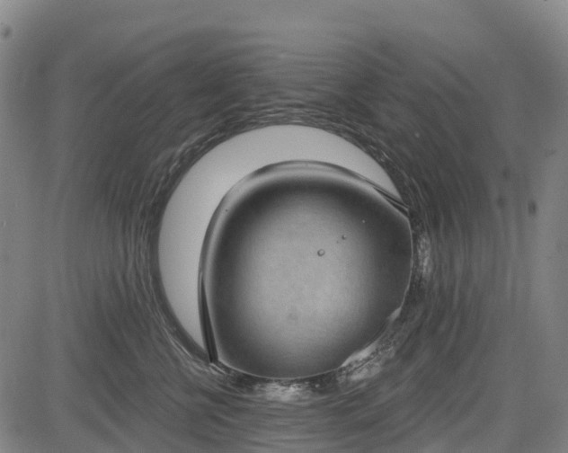 X0000085040570200703121436