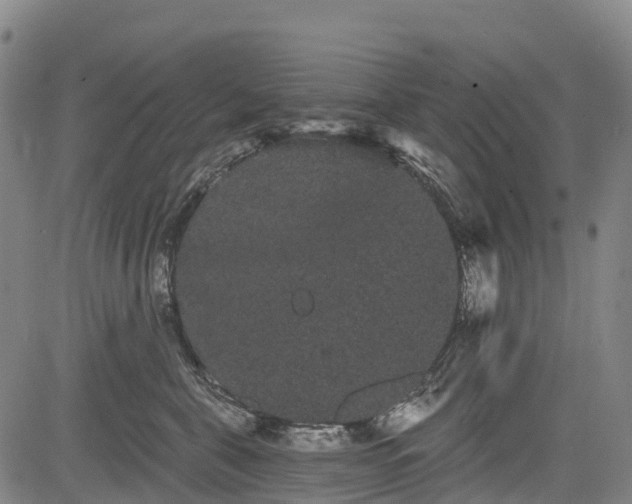 X0000085040571200703121436