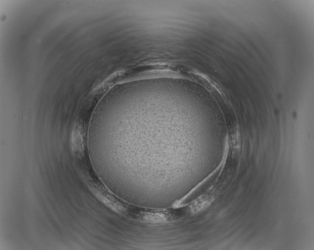 X0000085040572200703121436