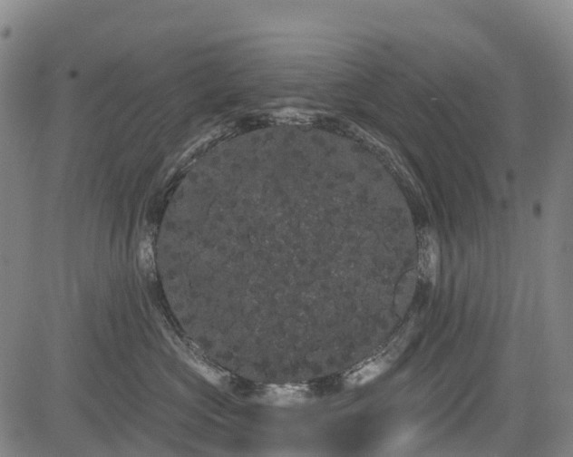 X0000085040573200703121436