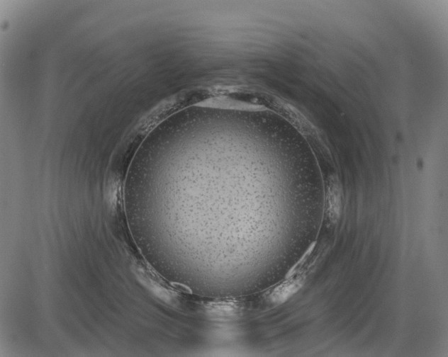 X0000085040574200703121436