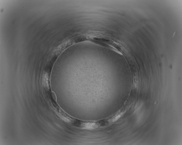 X0000085040575200703121436