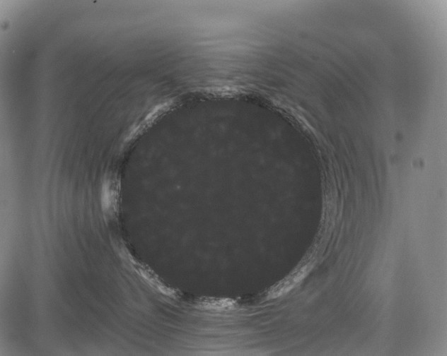 X0000085040576200703121436