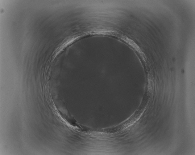 X0000085040577200703121436