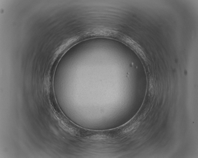 X0000085040578200703121436