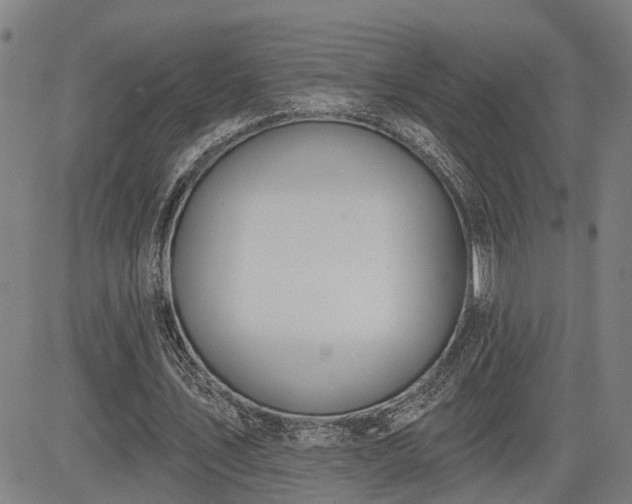 X0000085040579200703121436