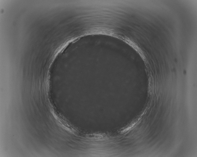 X0000085040580200703121436