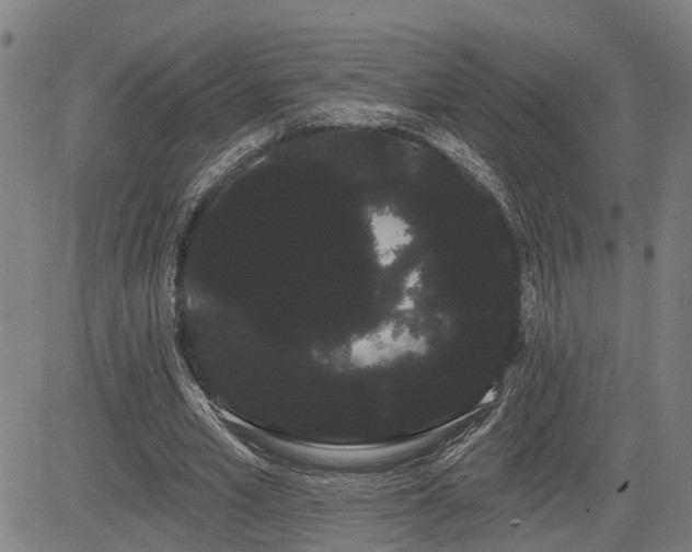 X0000085040581200703121436