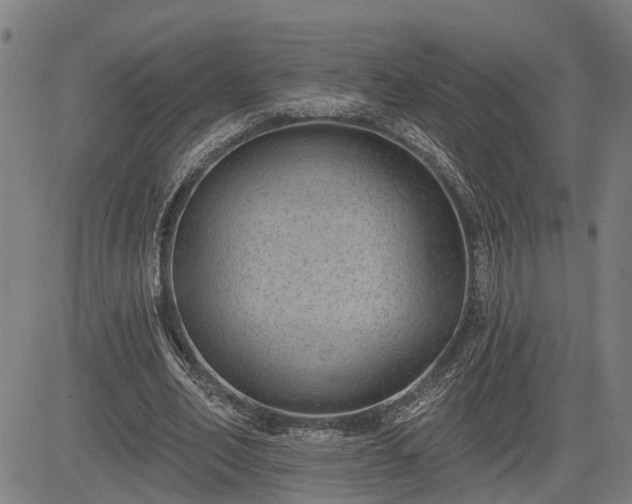 X0000085040582200703121436