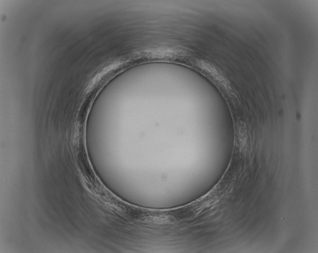 X0000085040583200703121436