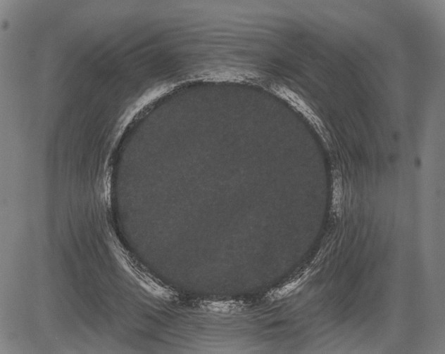 X0000085040584200703121436