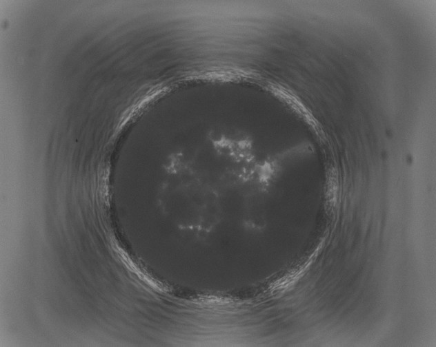 X0000085040585200703121436