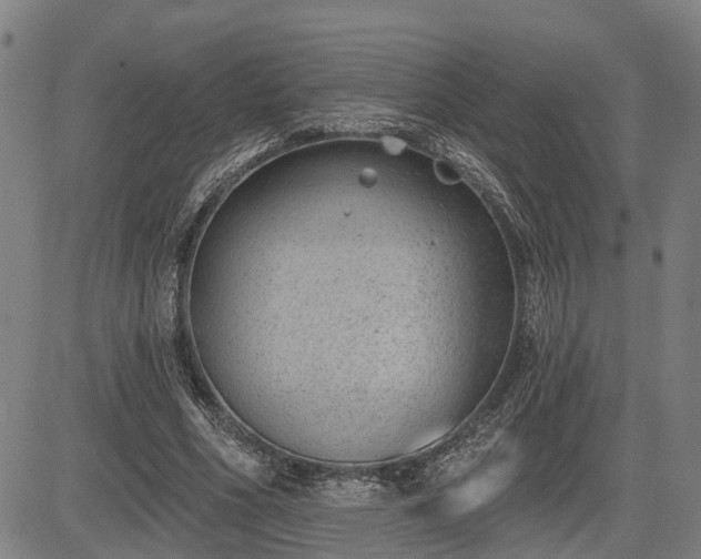 X0000085040586200703121436