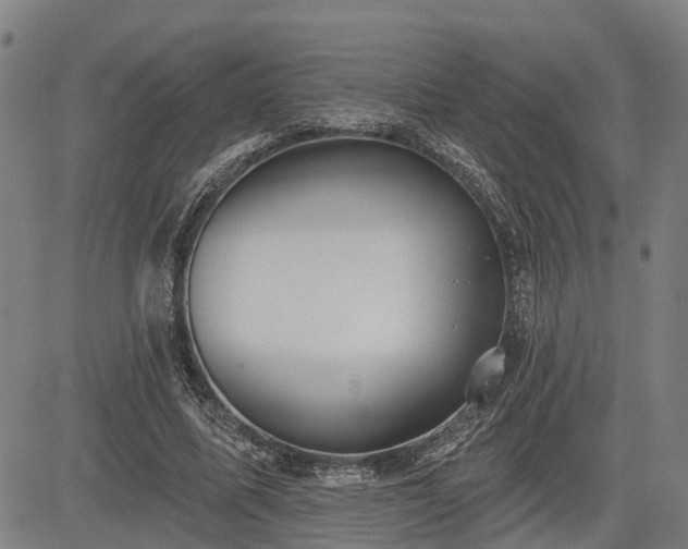 X0000085040587200703121436