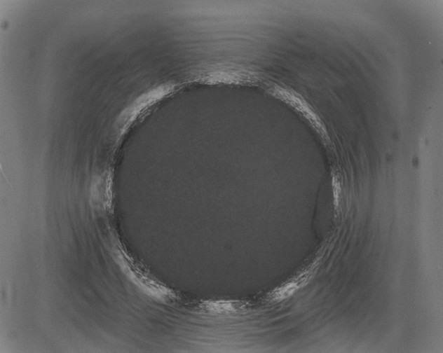 X0000085040588200703121435