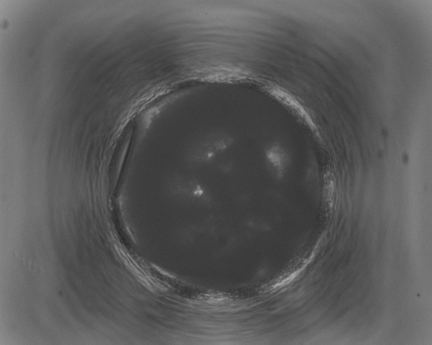 X0000085040589200703121435