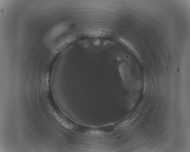 X0000085040590200703121435