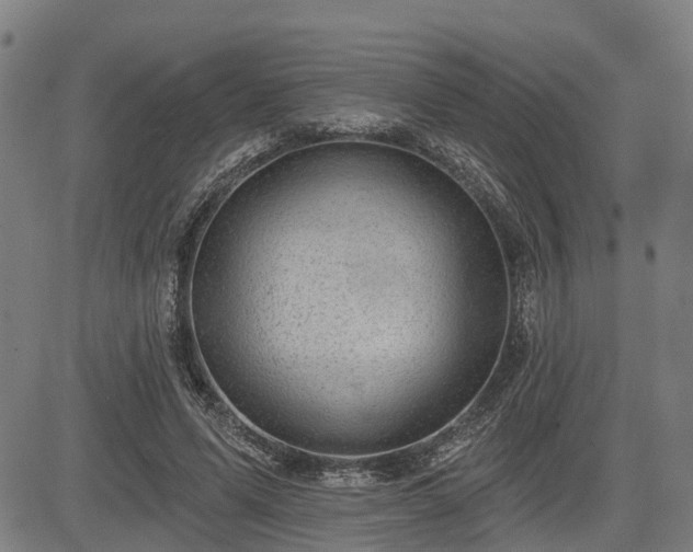 X0000085040591200703121435