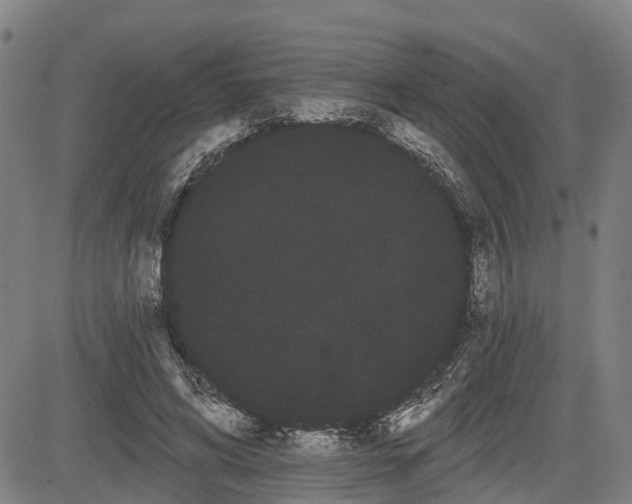 X0000085040592200703121435