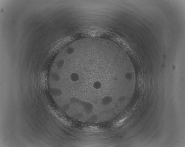 X0000085040594200703121435