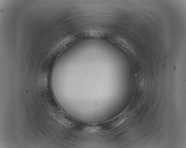 X0000085040595200703121435