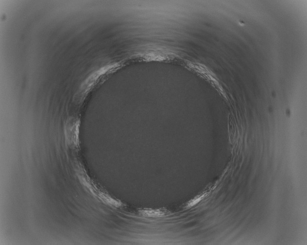 X0000085040596200703121435