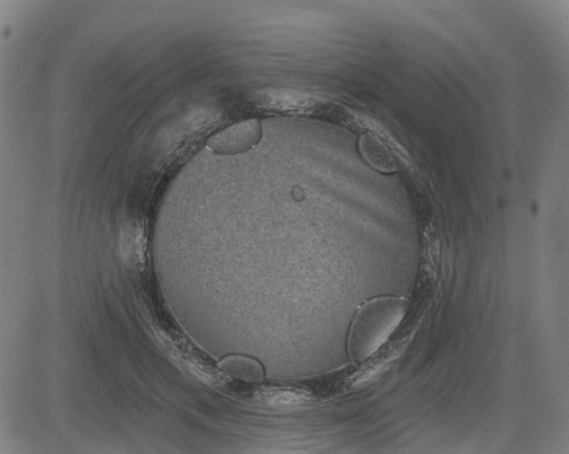 X0000085040597200703121435