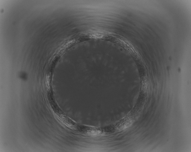 X0000085040598200703121435