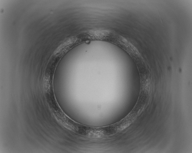 X0000085040599200703121435