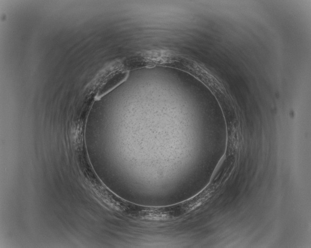 X0000085040601200703121435