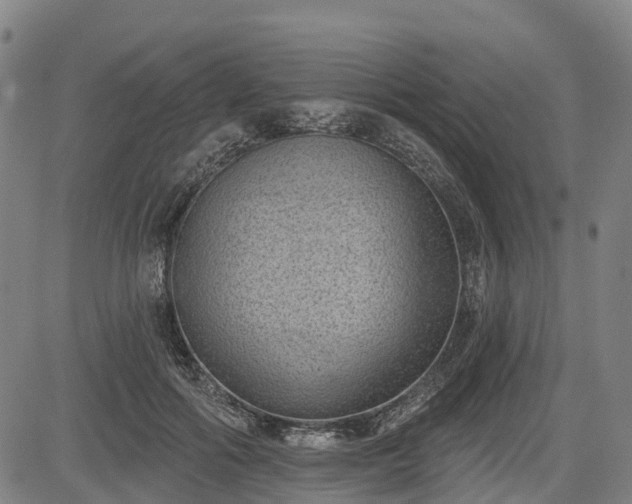 X0000085040602200703121435