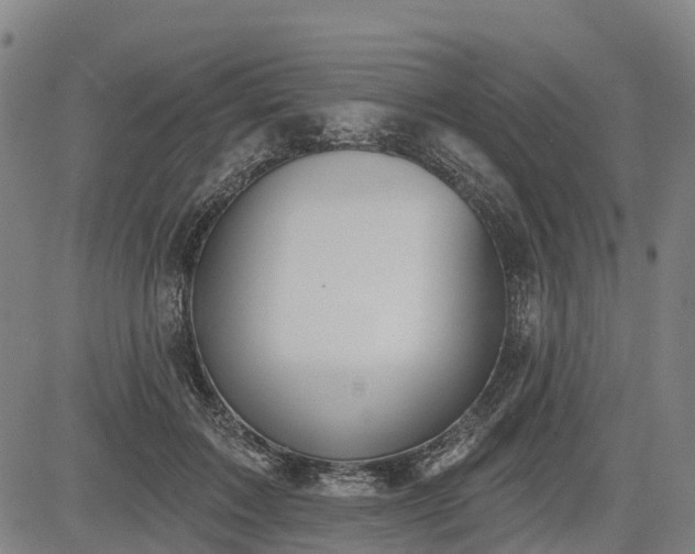 X0000085040603200703121435