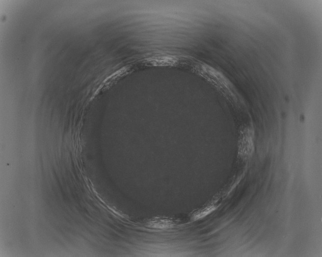 X0000085040604200703121435