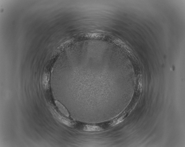 X0000085040605200703121435