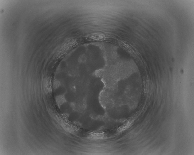 X0000085040606200703121435