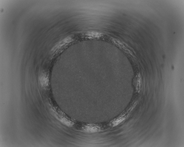 X0000085040608200703121435