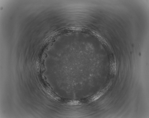 X0000085040609200703121435