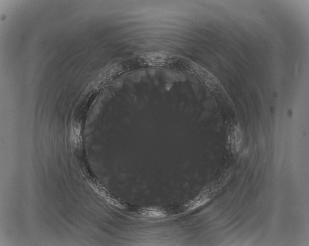 X0000085040610200703121435