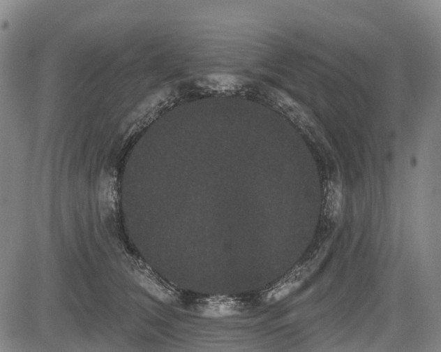 X0000085040612200703121435