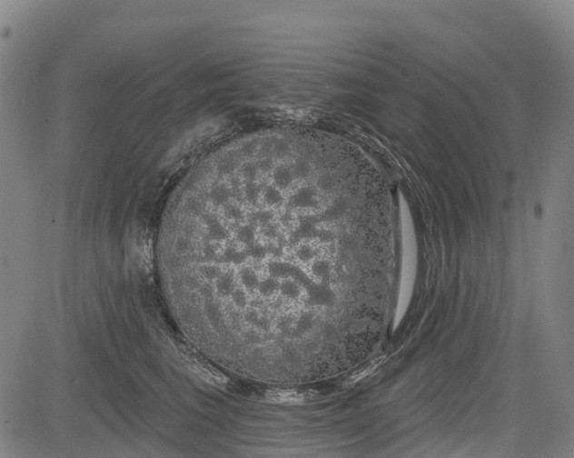 X0000085040613200703121435