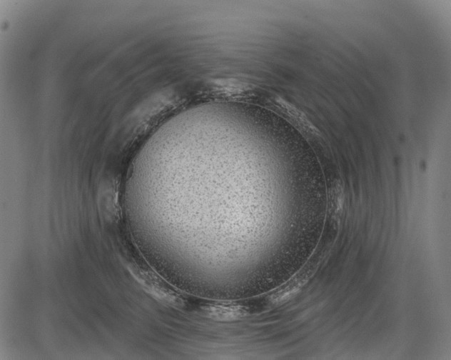 X0000085040615200703121435