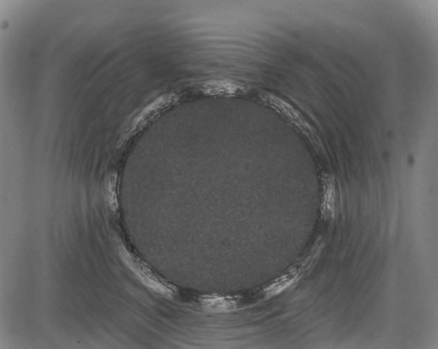 X0000085040616200703121435