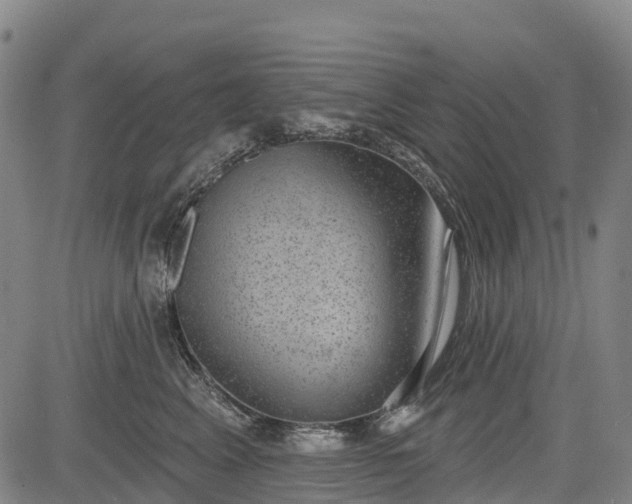 X0000085040617200703121435