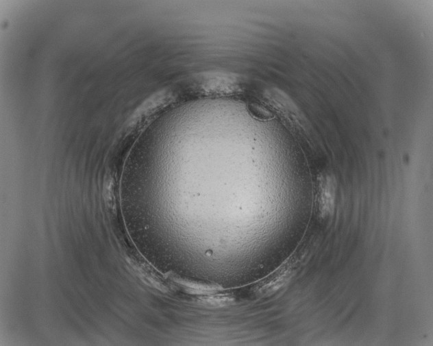 X0000085040619200703121435