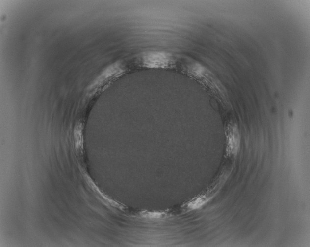 X0000085040620200703121435