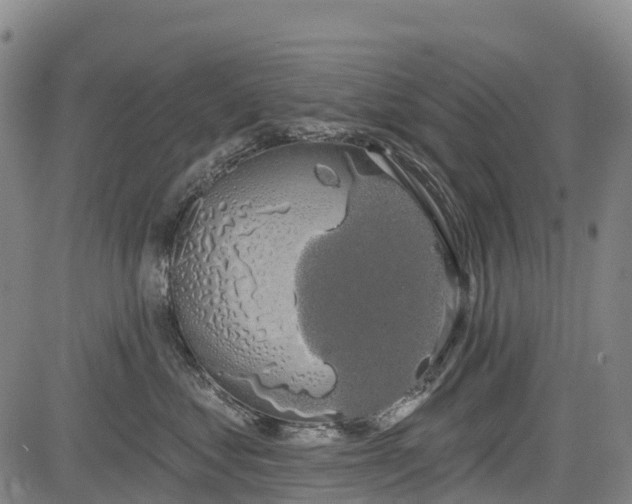 X0000085040621200703121435