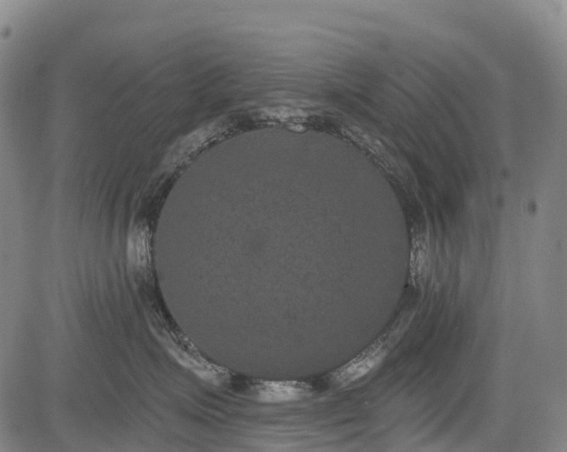 X0000085040623200703121435