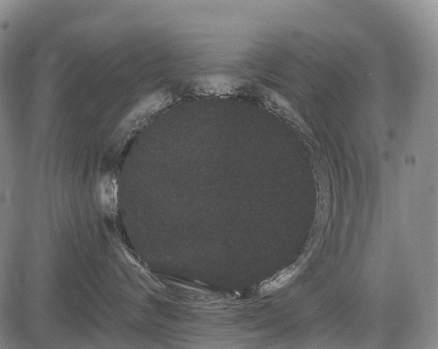 X0000085040624200703121435